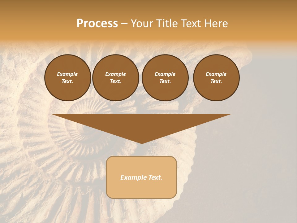 Closeup Paleontology Skeleton PowerPoint Template