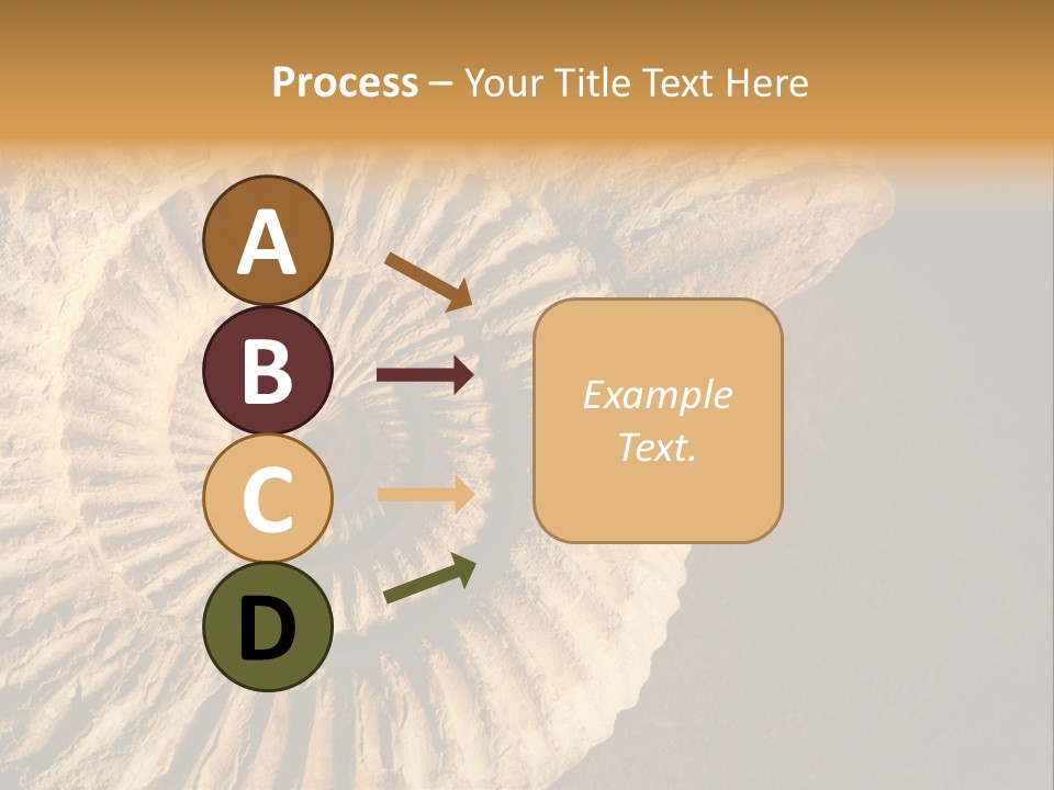 Closeup Paleontology Skeleton PowerPoint Template