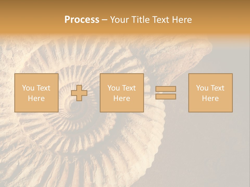 Closeup Paleontology Skeleton PowerPoint Template