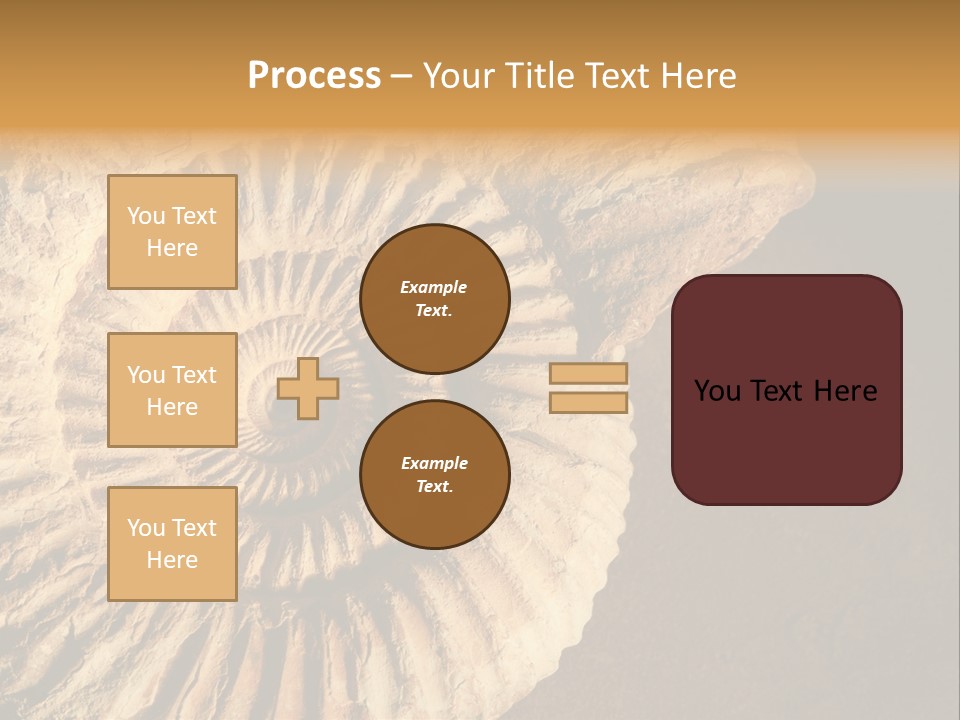Closeup Paleontology Skeleton PowerPoint Template
