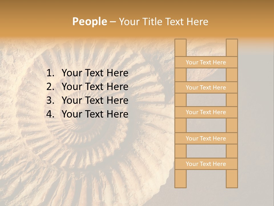 Closeup Paleontology Skeleton PowerPoint Template