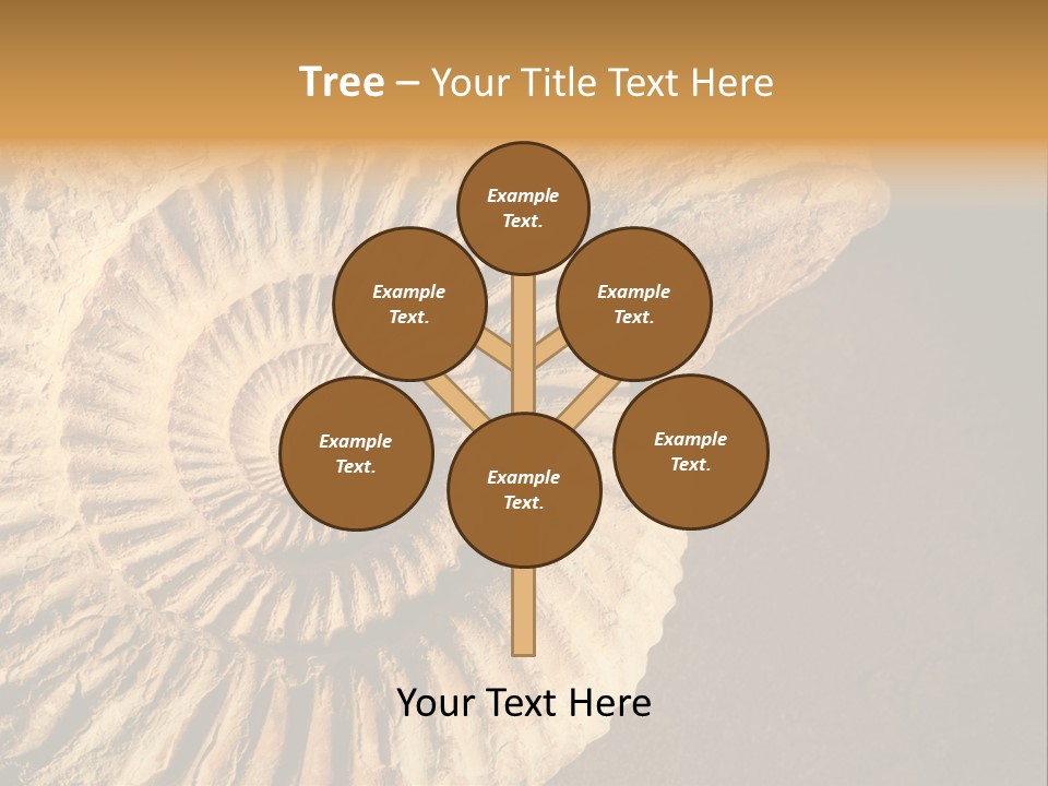 Closeup Paleontology Skeleton PowerPoint Template
