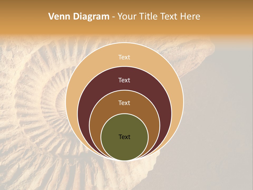 Closeup Paleontology Skeleton PowerPoint Template