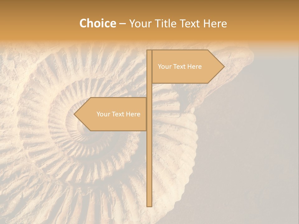 Closeup Paleontology Skeleton PowerPoint Template