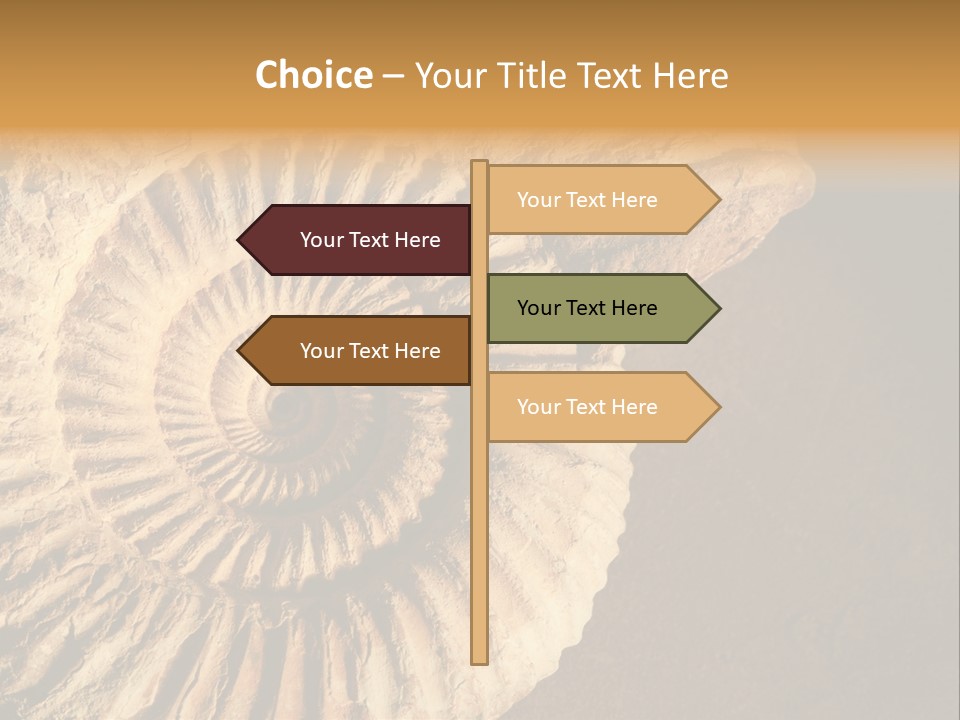 Closeup Paleontology Skeleton PowerPoint Template