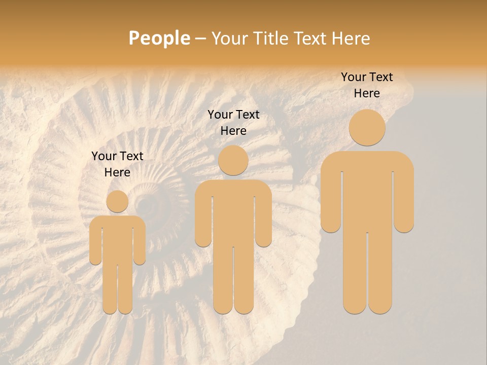 Closeup Paleontology Skeleton PowerPoint Template