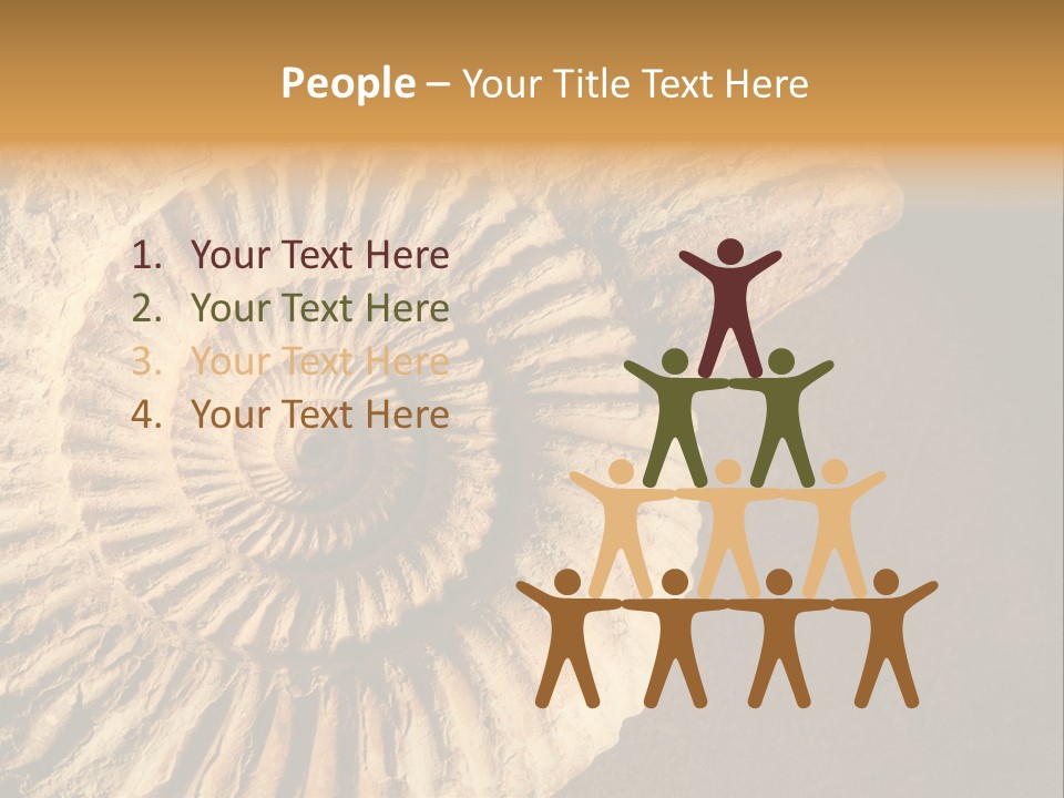 Closeup Paleontology Skeleton PowerPoint Template