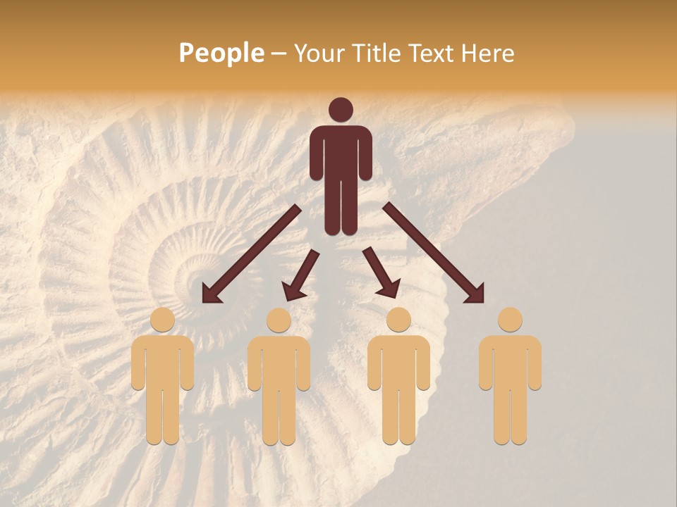 Closeup Paleontology Skeleton PowerPoint Template