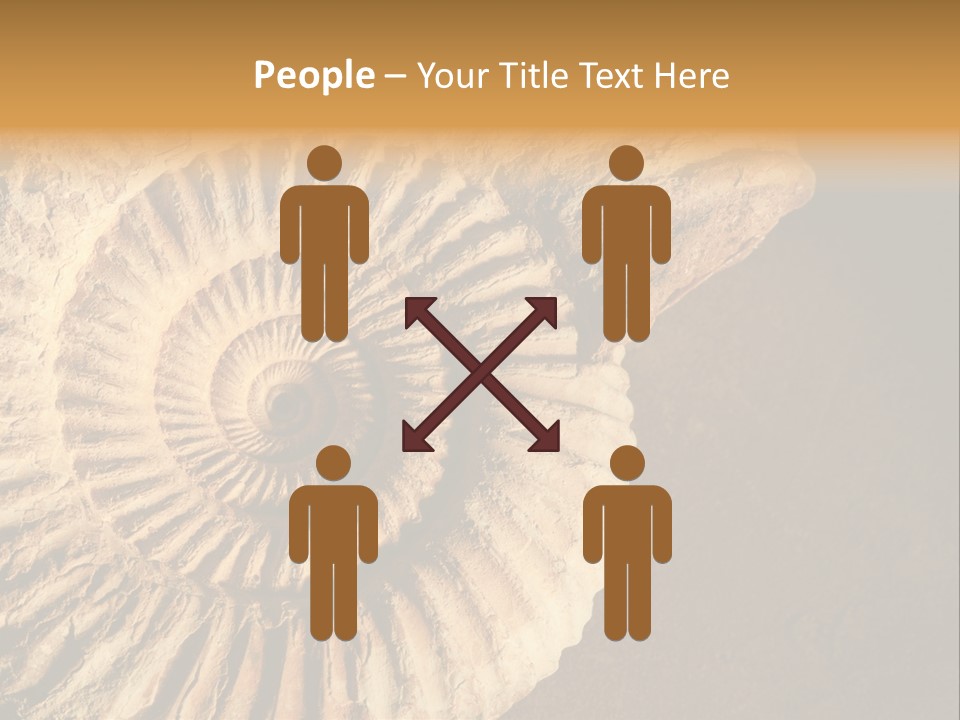 Closeup Paleontology Skeleton PowerPoint Template