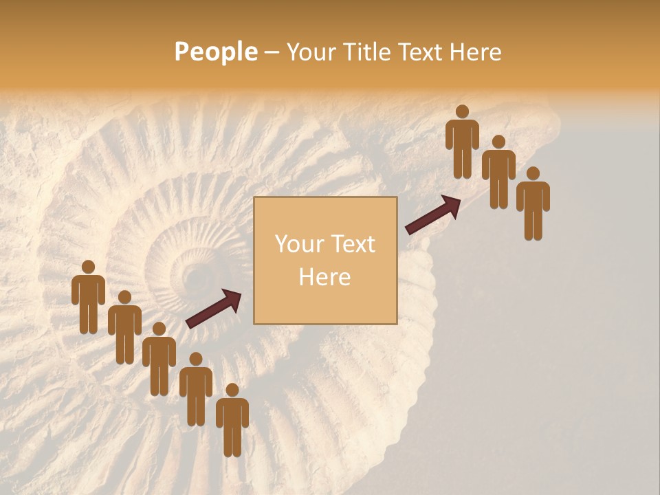 Closeup Paleontology Skeleton PowerPoint Template