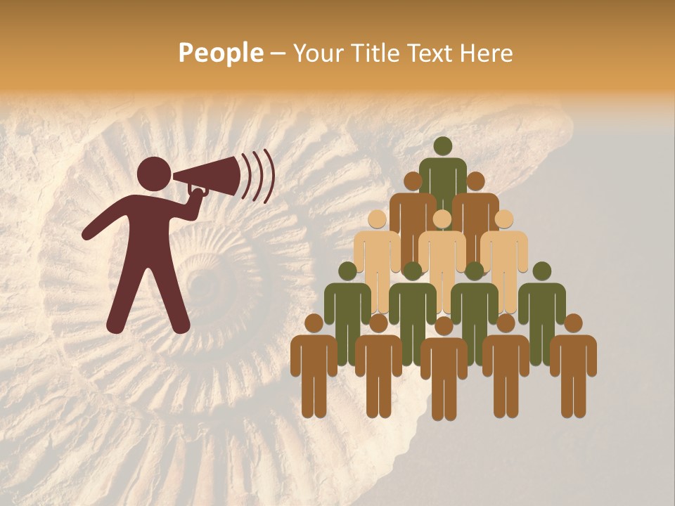 Closeup Paleontology Skeleton PowerPoint Template