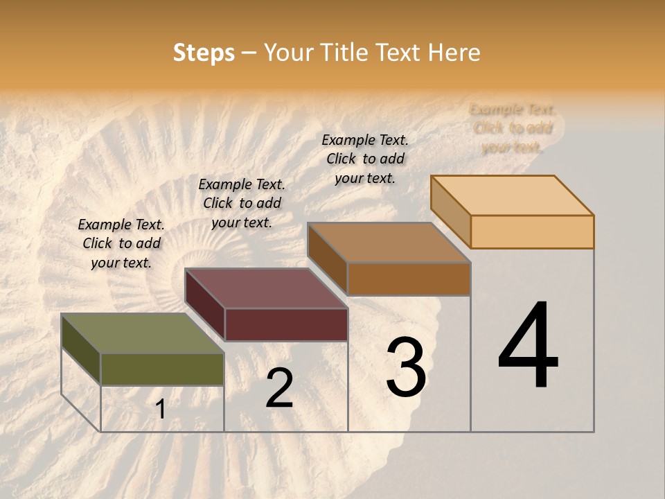 Closeup Paleontology Skeleton PowerPoint Template