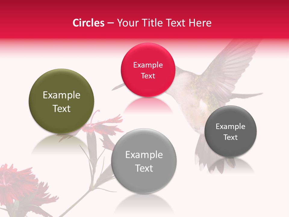 Throated Float Fragrant PowerPoint Template