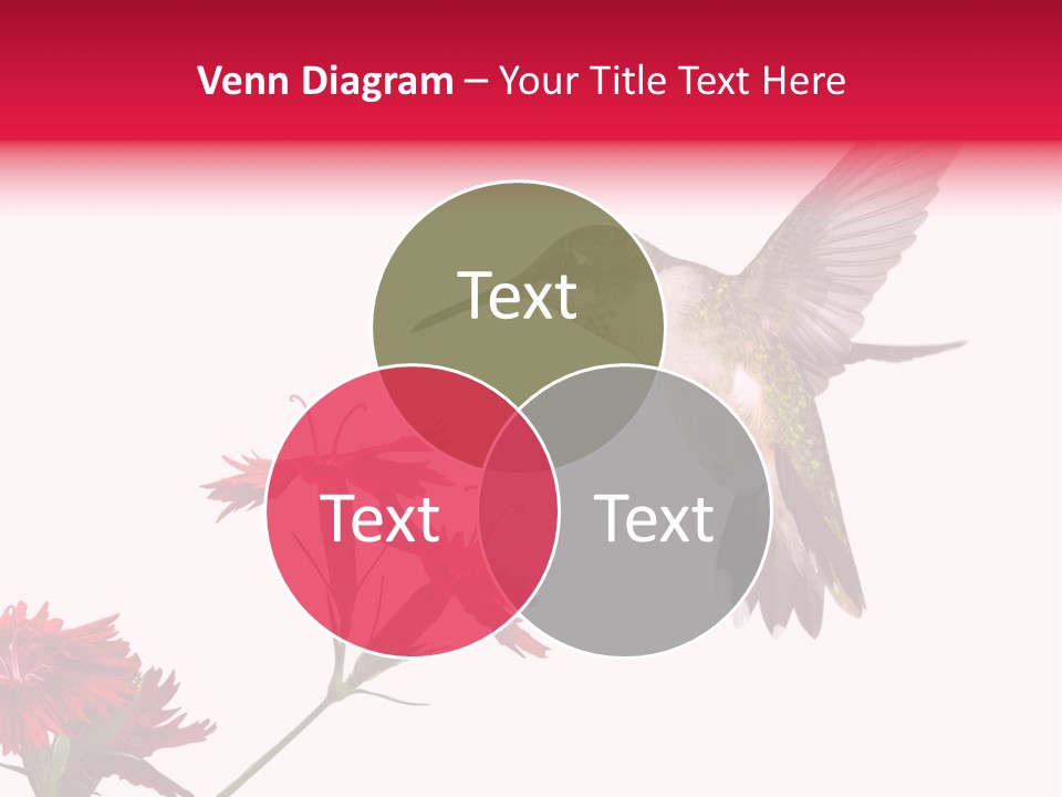 Throated Float Fragrant PowerPoint Template