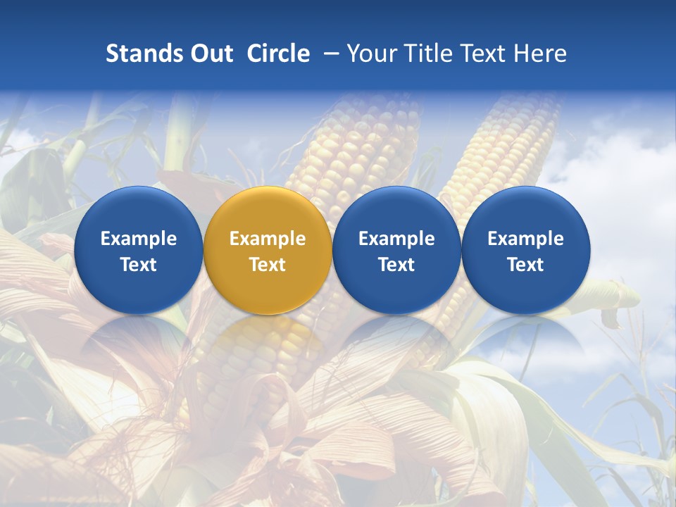 Industry Scenics Healthy PowerPoint Template