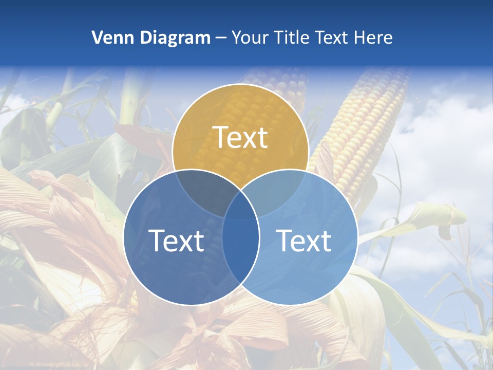 Industry Scenics Healthy PowerPoint Template