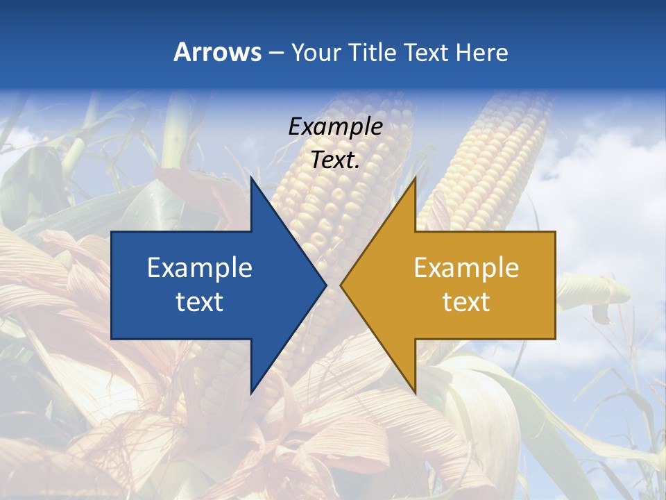 Industry Scenics Healthy PowerPoint Template