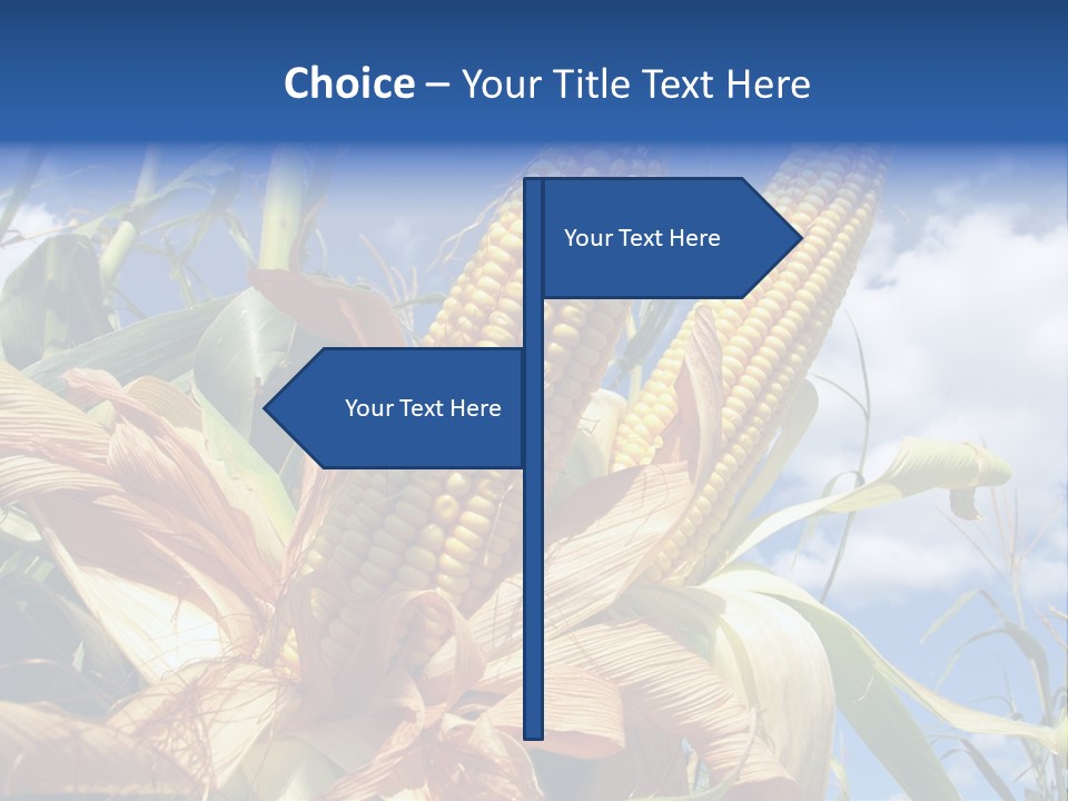 Industry Scenics Healthy PowerPoint Template