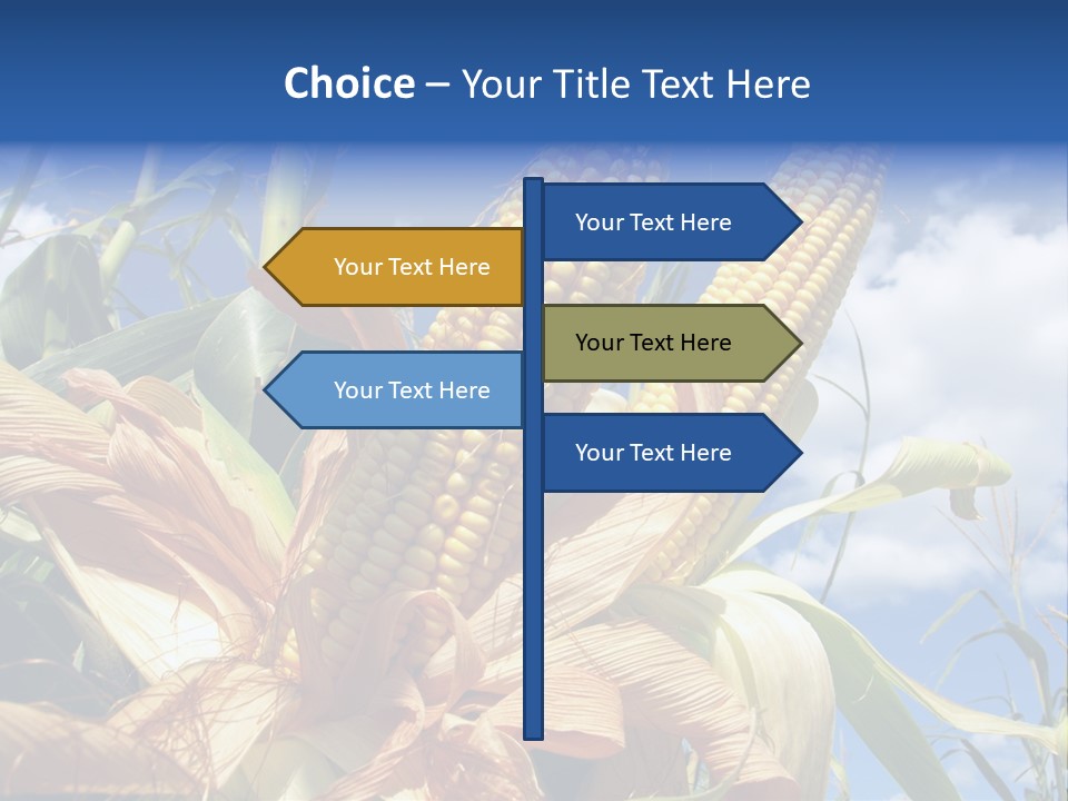 Industry Scenics Healthy PowerPoint Template