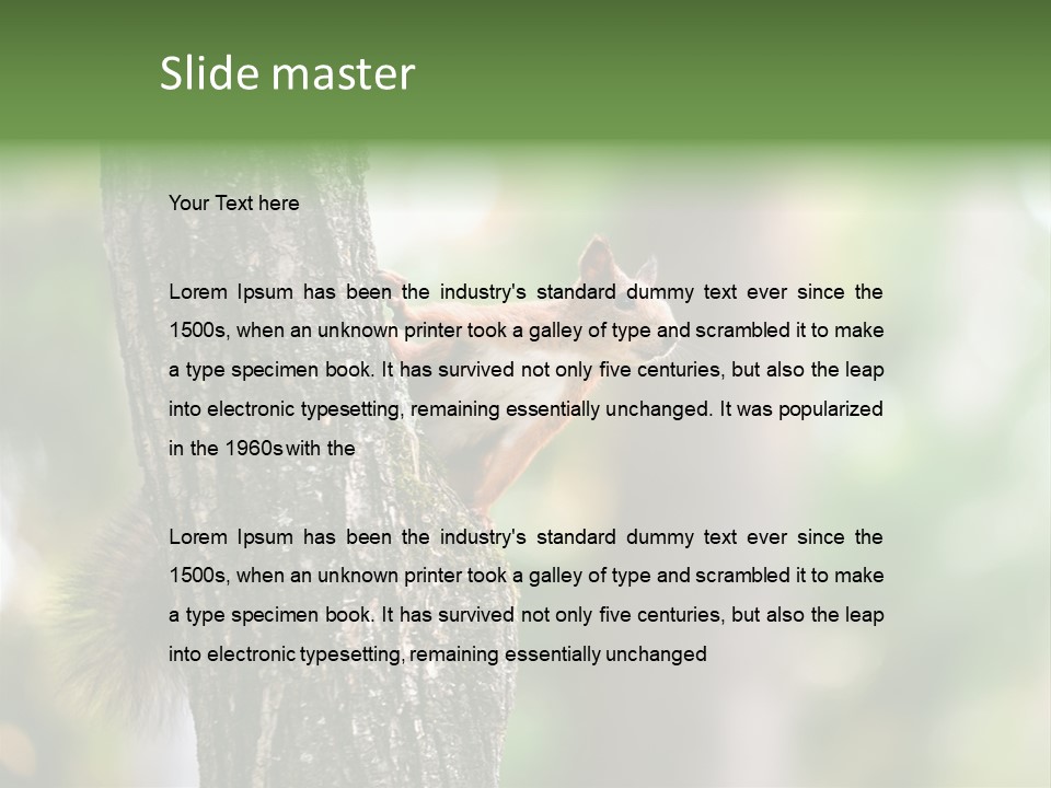 Snow Wild Small PowerPoint Template