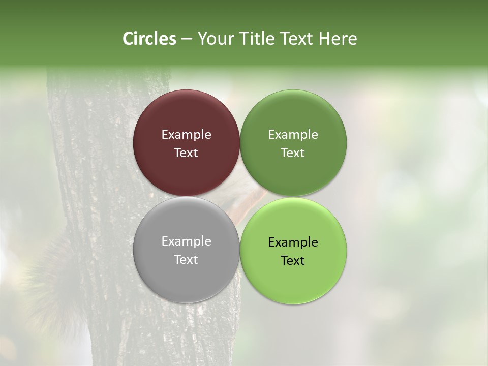 Snow Wild Small PowerPoint Template