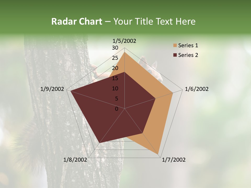 Snow Wild Small PowerPoint Template