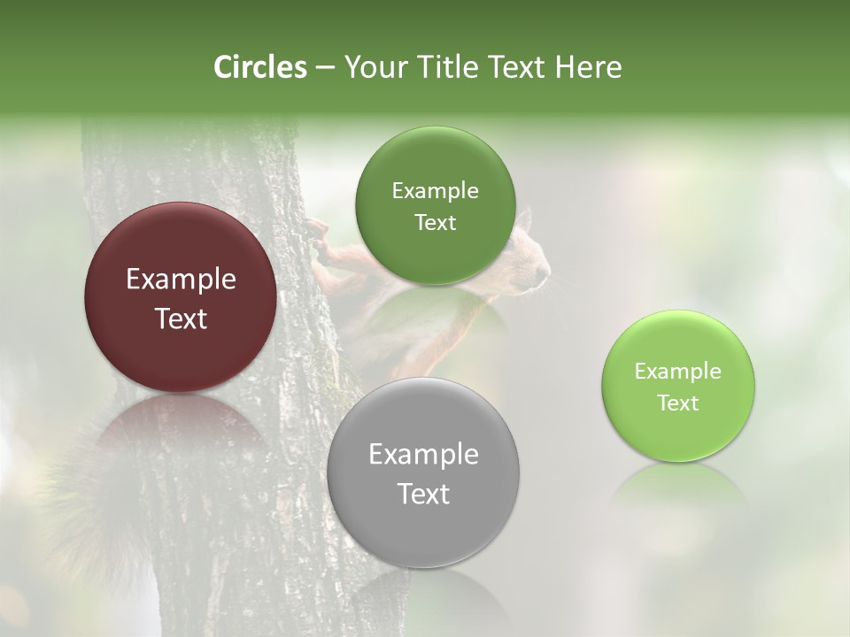 Snow Wild Small PowerPoint Template