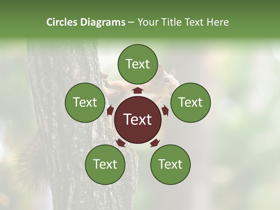 Snow Wild Small PowerPoint Template