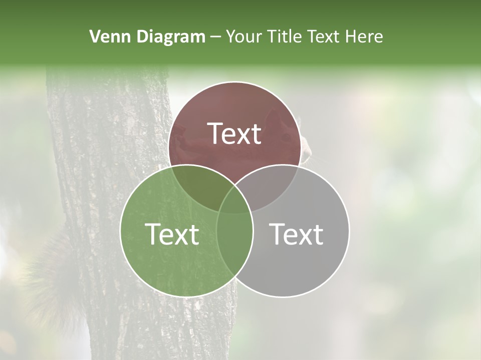 Snow Wild Small PowerPoint Template