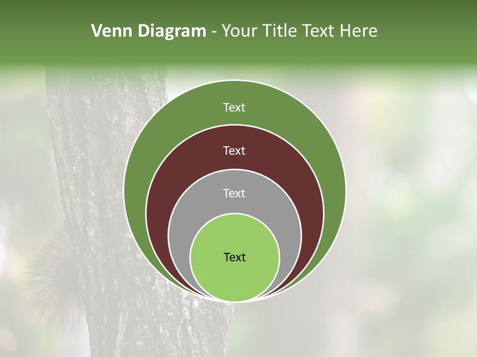 Snow Wild Small PowerPoint Template