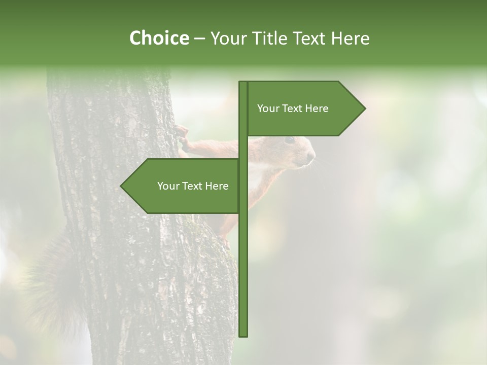 Snow Wild Small PowerPoint Template