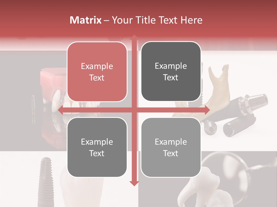 Treatment Accessory Roots PowerPoint Template