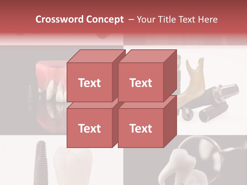 Treatment Accessory Roots PowerPoint Template