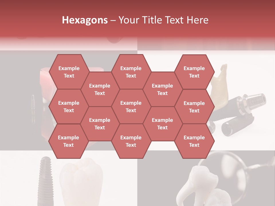 Treatment Accessory Roots PowerPoint Template