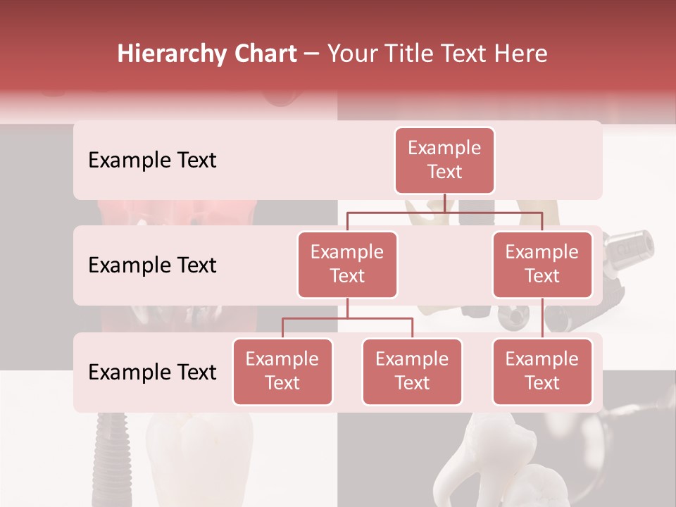 Treatment Accessory Roots PowerPoint Template