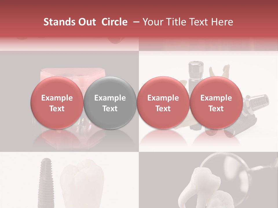 Treatment Accessory Roots PowerPoint Template