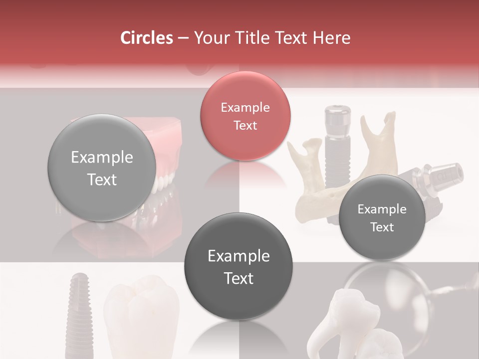 Treatment Accessory Roots PowerPoint Template