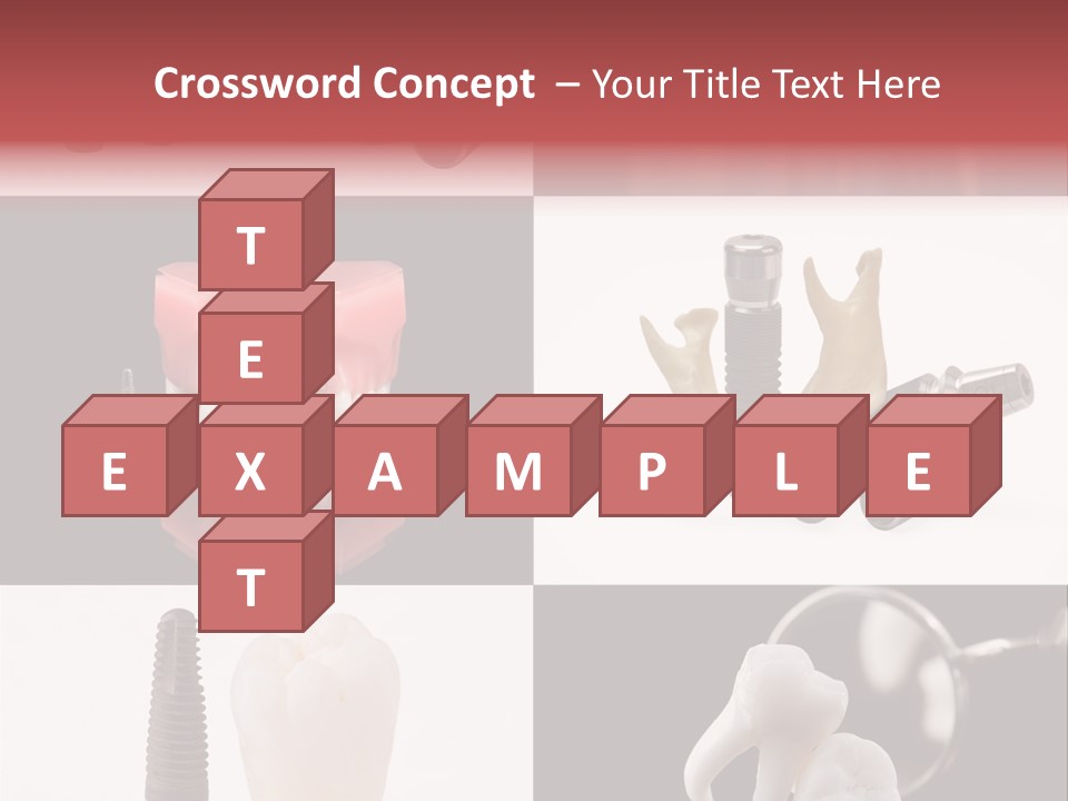 Treatment Accessory Roots PowerPoint Template