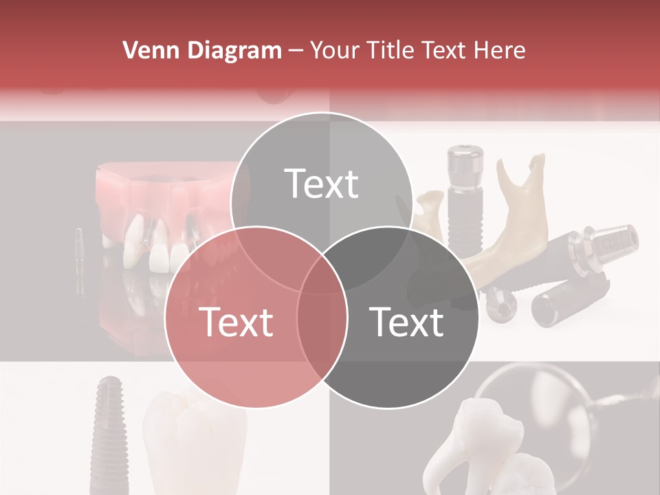Treatment Accessory Roots PowerPoint Template
