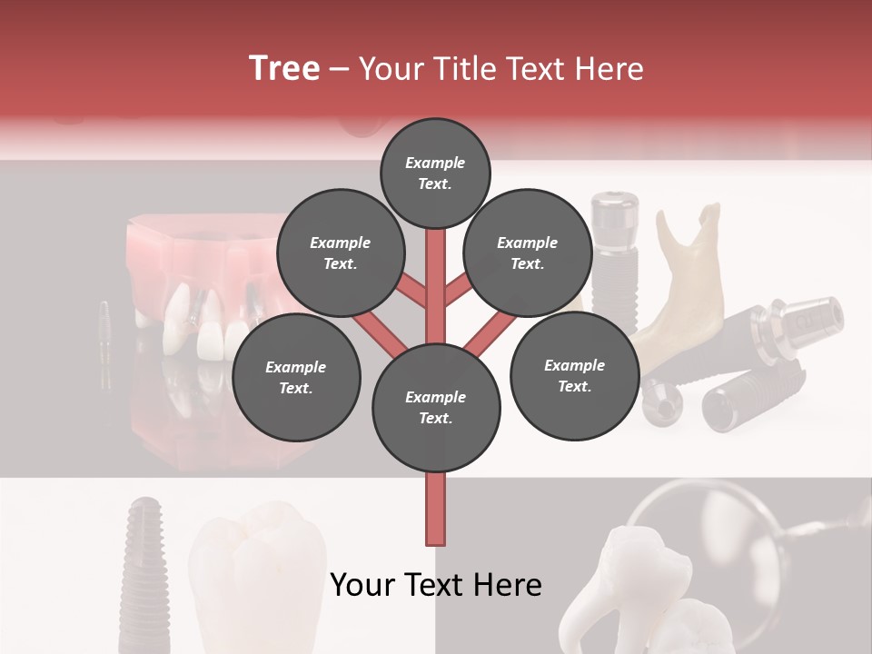 Treatment Accessory Roots PowerPoint Template