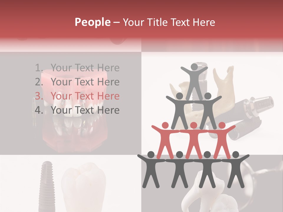 Treatment Accessory Roots PowerPoint Template