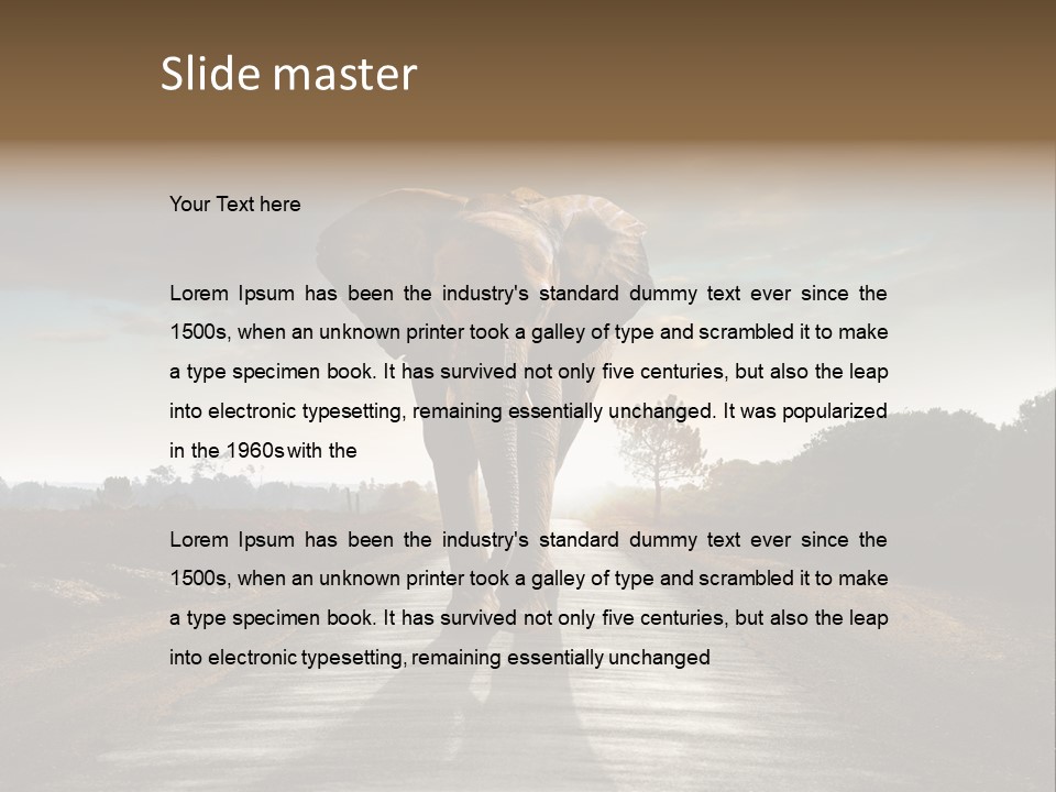 Ears Teeth Tusk PowerPoint Template