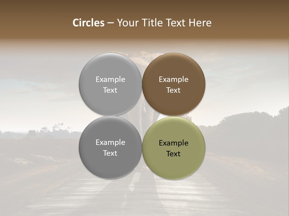 Ears Teeth Tusk PowerPoint Template