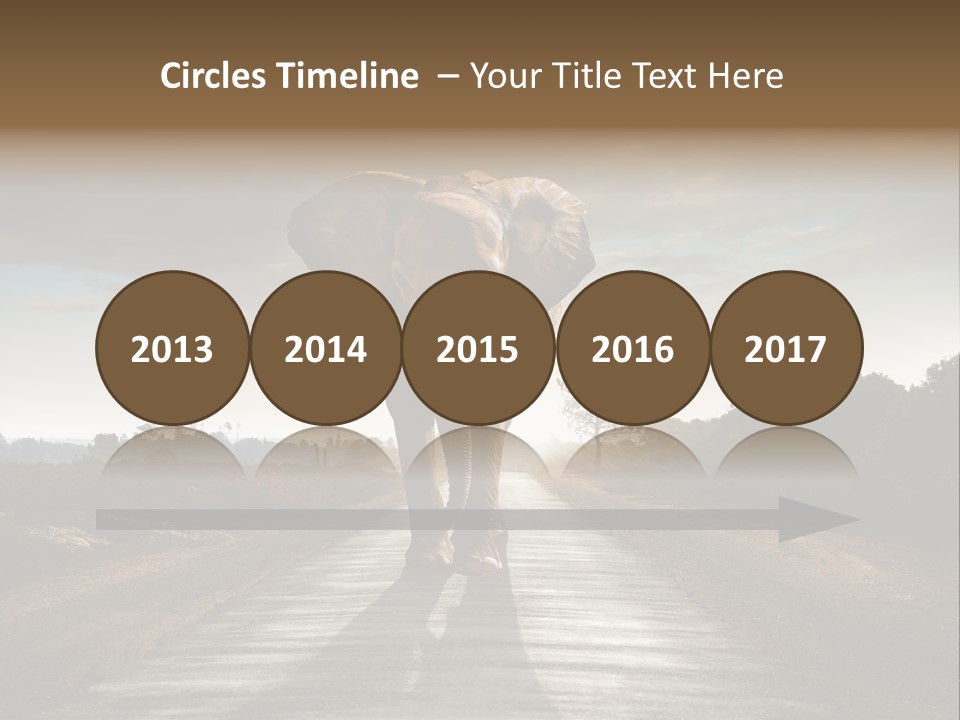 Ears Teeth Tusk PowerPoint Template