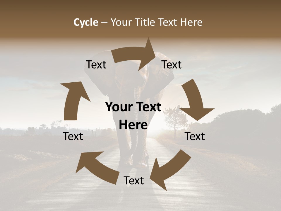 Ears Teeth Tusk PowerPoint Template