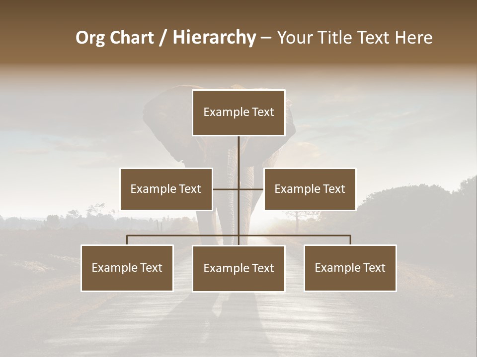 Ears Teeth Tusk PowerPoint Template