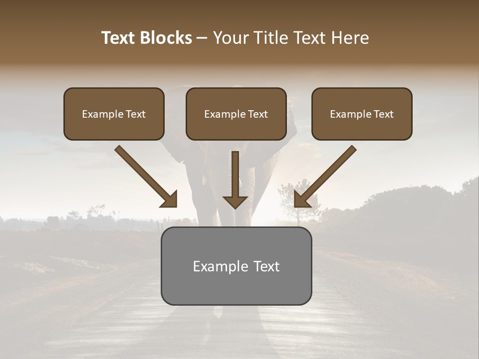 Ears Teeth Tusk PowerPoint Template