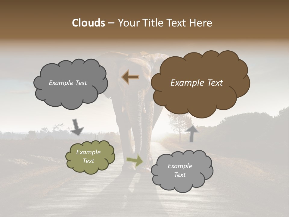 Ears Teeth Tusk PowerPoint Template