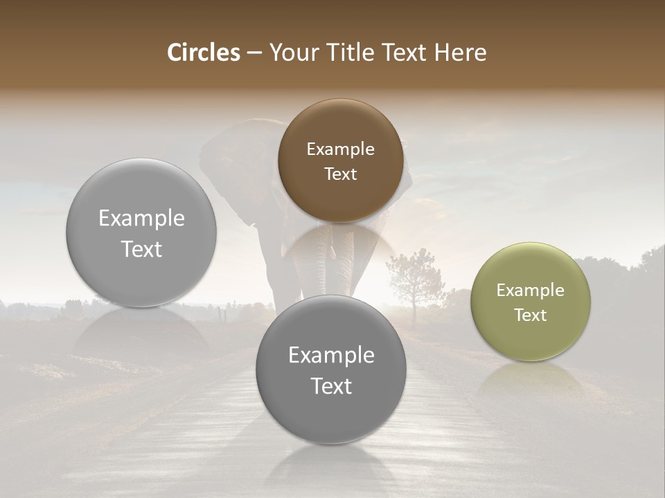 Ears Teeth Tusk PowerPoint Template