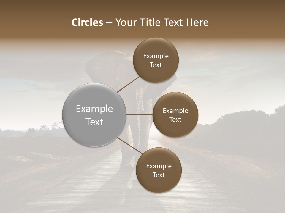 Ears Teeth Tusk PowerPoint Template